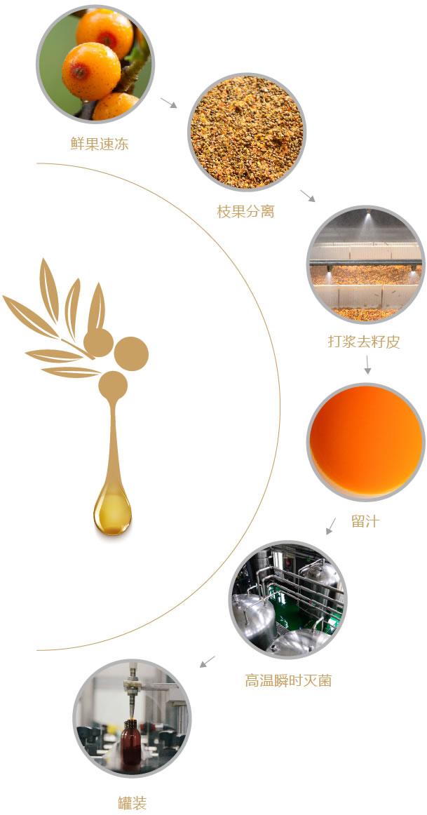 藏碼沙棘精華原汁l1notpc.jpg