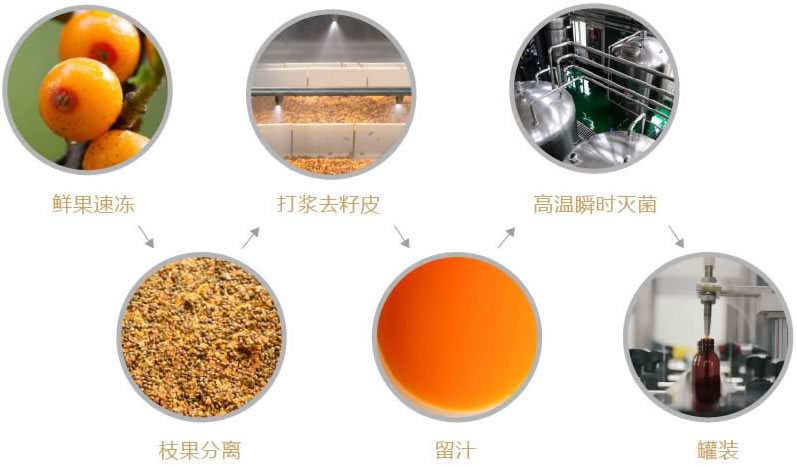 藏碼沙棘精華原汁l1.jpg
